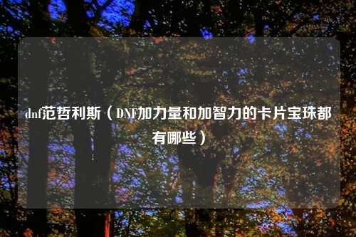 dnf范哲利斯（DNF加力量和加智力的卡片宝珠都有哪些）