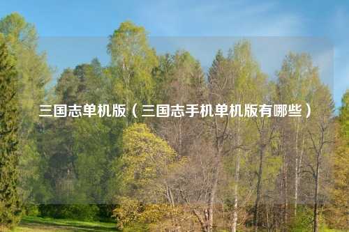 三国志单机版（三国志手机单机版有哪些）