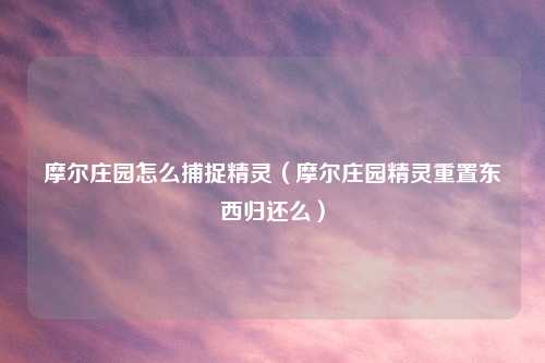 摩尔庄园怎么捕捉精灵（摩尔庄园精灵重置东西归还么）