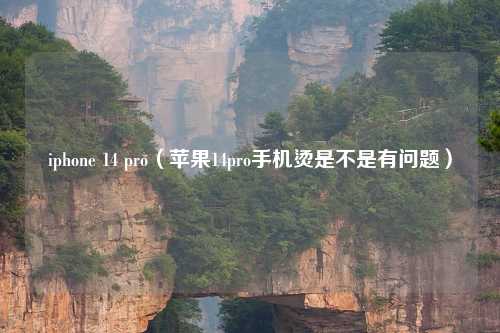 iphone 14 pro（苹果14pro手机烫是不是有问题）