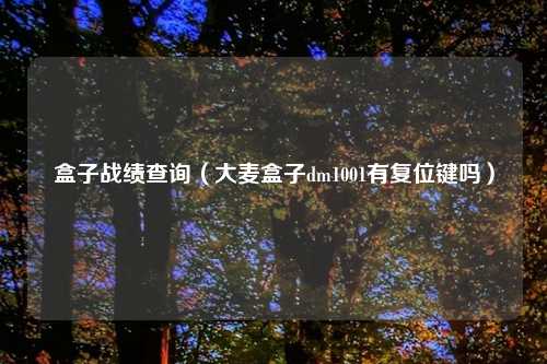 盒子战绩查询（大麦盒子dm1001有复位键吗）
