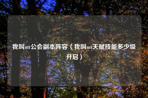我叫mt公会副本阵容（我叫mt天赋技能多少级开启）