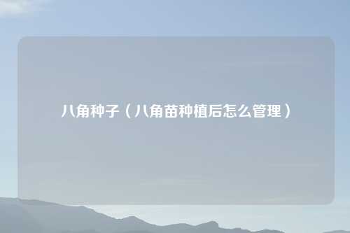 八角种子（八角苗种植后怎么管理）