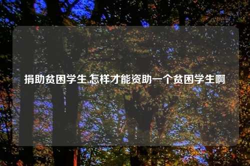 捐助贫困学生,怎样才能资助一个贫困学生啊