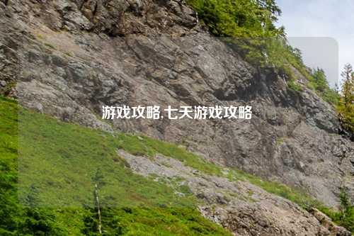 游戏攻略,七天游戏攻略