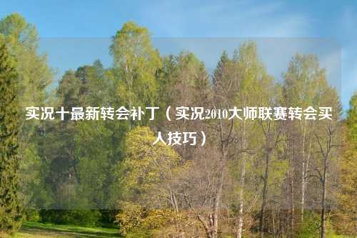实况十最新转会补丁（实况2010大师联赛转会买人技巧）