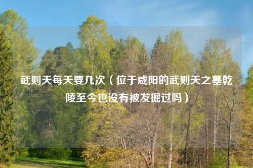 武则天每天要几次（位于咸阳的武则天之墓乾陵至今也没有被发掘过吗）