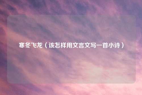 寒冬飞龙（该怎样用文言文写一首小诗）