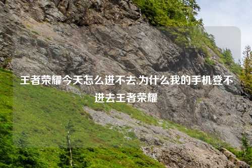 王者荣耀今天怎么进不去,为什么我的手机登不进去王者荣耀