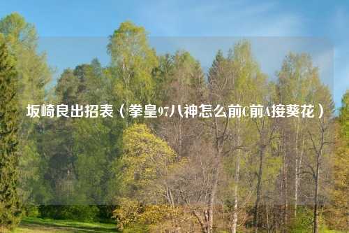 坂崎良出招表（拳皇97八神怎么前C前A接葵花）
