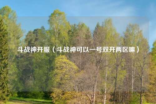 斗战神开服（斗战神可以一号双开两区嘛）