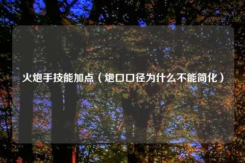 火炮手技能加点（炮口口径为什么不能简化）