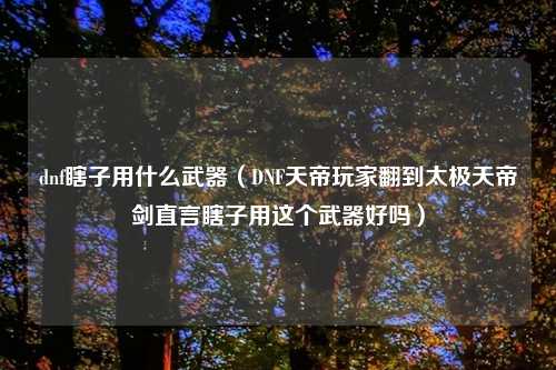dnf瞎子用什么武器（DNF天帝玩家翻到太极天帝剑直言瞎子用这个武器好吗）