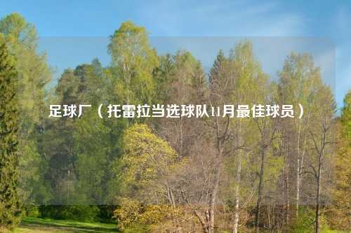 足球厂（托雷拉当选球队11月最佳球员）