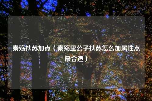 秦殇扶苏加点（秦殇里公子扶苏怎么加属性点最合适）