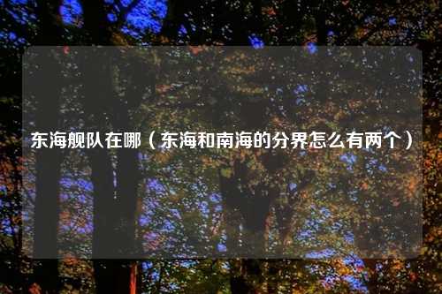 东海舰队在哪（东海和南海的分界怎么有两个）