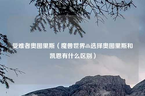 受难者奥图里斯（魔兽世界dh选择奥图里斯和凯恩有什么区别）