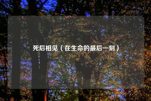 死后相见（在生命的最后一刻）