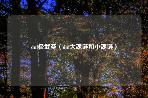 dnf极武圣（dnf大魂链和小魂链）