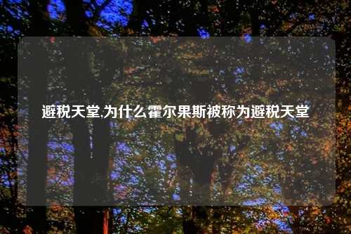 避税天堂,为什么霍尔果斯被称为避税天堂