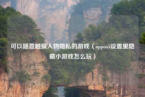 可以随意触摸人物隐私的游戏（oppoa5设置里隐藏小游戏怎么玩）