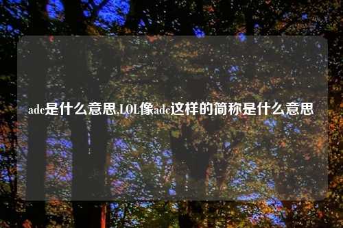 adc是什么意思,LOL像adc这样的简称是什么意思