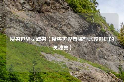 魔兽世界灵魂兽（魔兽世界有哪些比较好抓的灵魂兽）