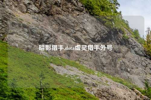 暗影猎手,dota虚灵猎手外号