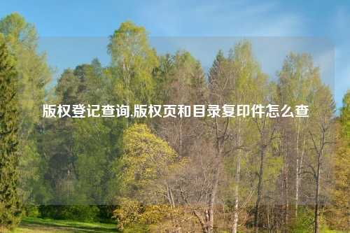 版权登记查询,版权页和目录复印件怎么查