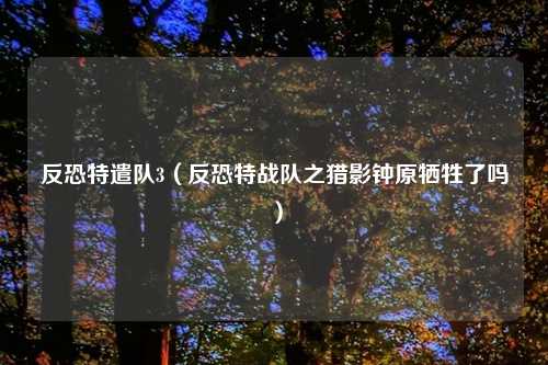 反恐特遣队3（反恐特战队之猎影钟原牺牲了吗）