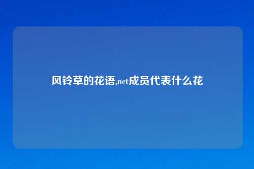 风铃草的花语,nct成员代表什么花