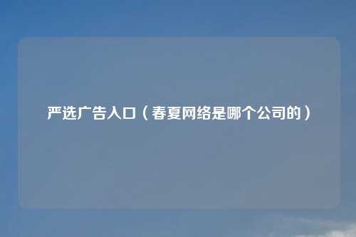 严选广告入口（春夏网络是哪个公司的）