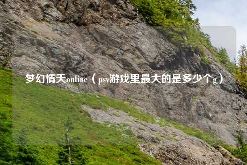 梦幻情天online（psv游戏里最大的是多少个g）