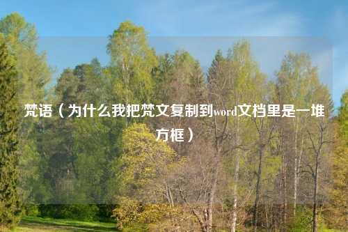 梵语（为什么我把梵文复制到word文档里是一堆方框）
