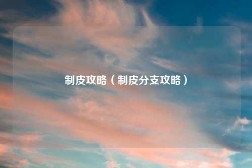 制皮攻略（制皮分支攻略）