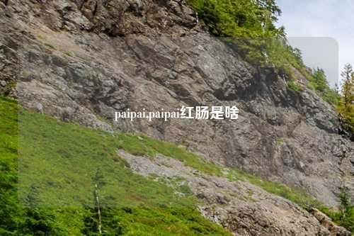paipai,paipai红肠是啥