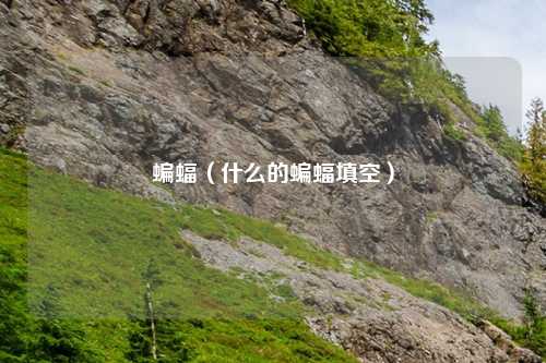 蝙蝠（什么的蝙蝠填空）