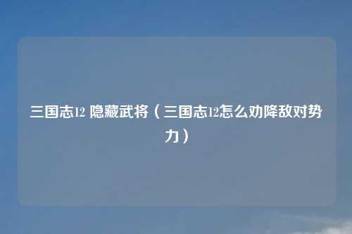 三国志12 隐藏武将（三国志12怎么劝降敌对势力）
