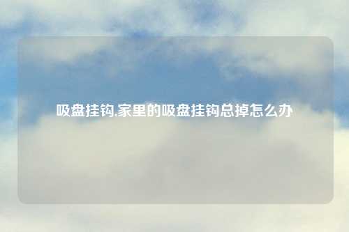 吸盘挂钩,家里的吸盘挂钩总掉怎么办