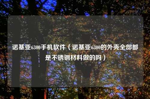 诺基亚6300手机软件（诺基亚6300的外壳全部都是不锈钢材料做的吗）