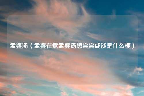 孟婆汤（孟婆在煮孟婆汤想尝尝咸淡是什么梗）