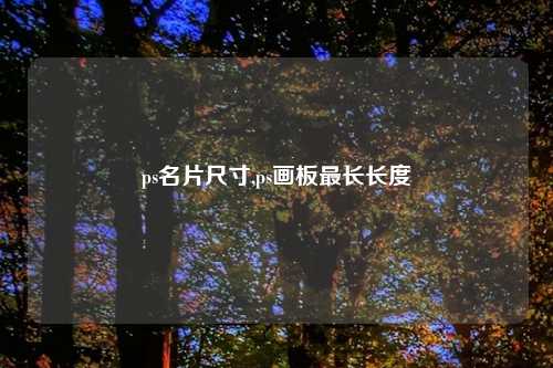 ps名片尺寸,ps画板最长长度