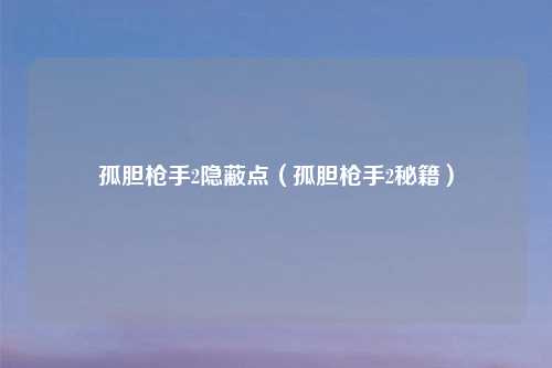 孤胆枪手2隐蔽点（孤胆枪手2秘籍）