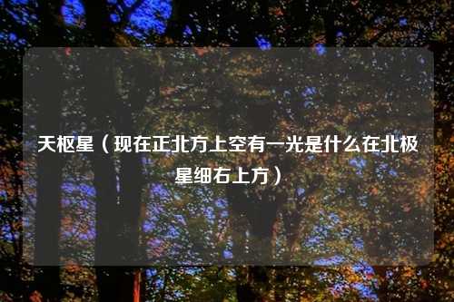 天枢星（现在正北方上空有一光是什么在北极星细右上方）