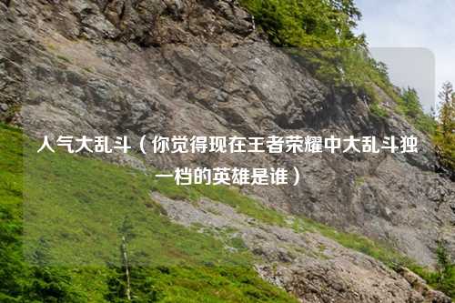 人气大乱斗（你觉得现在王者荣耀中大乱斗独一档的英雄是谁）