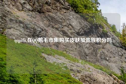 qqpifu,在QQ鹅毛市集购买皮肤加贵族积分吗
