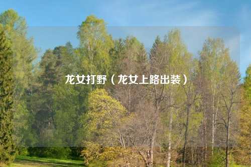 龙女打野（龙女上路出装）