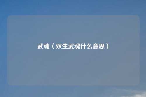 武魂（双生武魂什么意思）