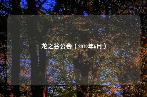 龙之谷公会（2019年6月）