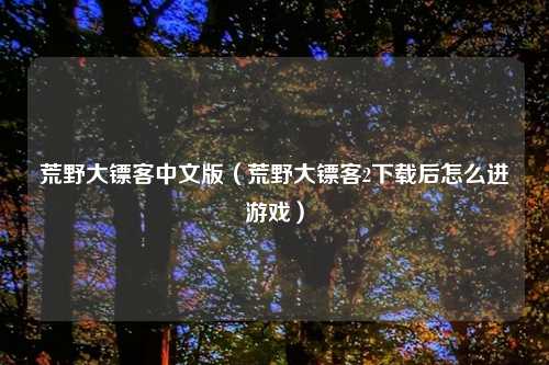 荒野大镖客中文版（荒野大镖客2下载后怎么进游戏）